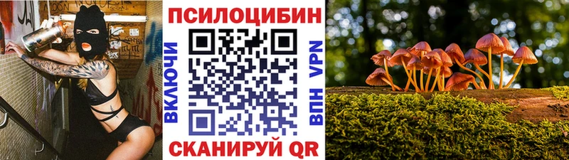 Псилоцибиновые грибы прущие грибы  Карталы 